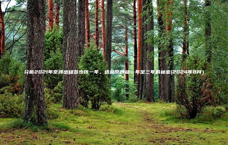 分析2021年京牌出租多少钱一年、透漏京牌租一年至三年的秘密(2024年8月）
