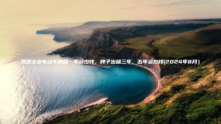 揭露北京电动车牌租一年多少钱、牌子出租三年、五年多少钱(2024年8月）