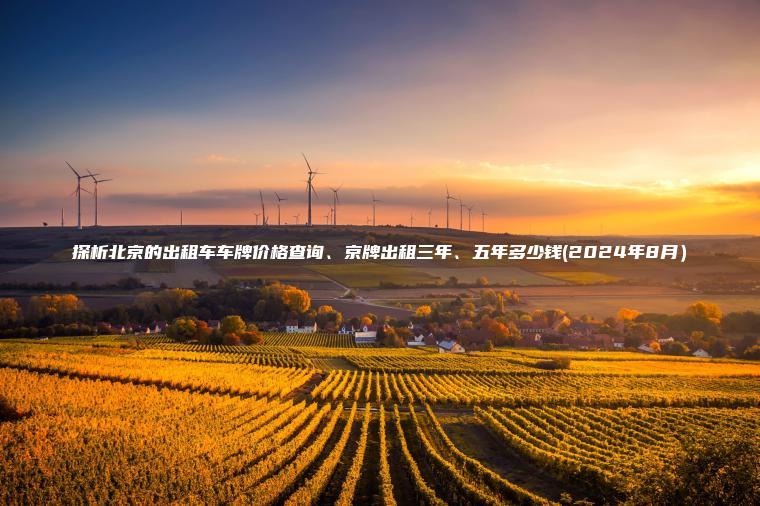 探析北京的出租车车牌价格查询、京牌出租三年、五年多少钱(2024年8月）
