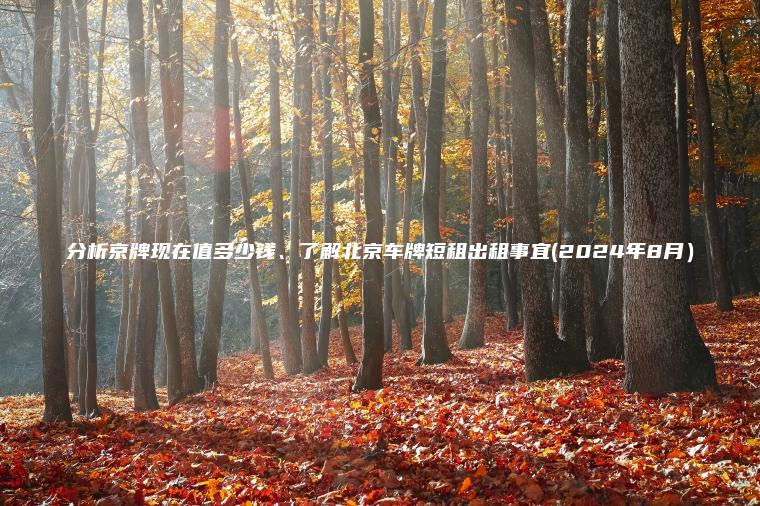 分析京牌现在值多少钱、了解北京车牌短租出租事宜(2024年8月）