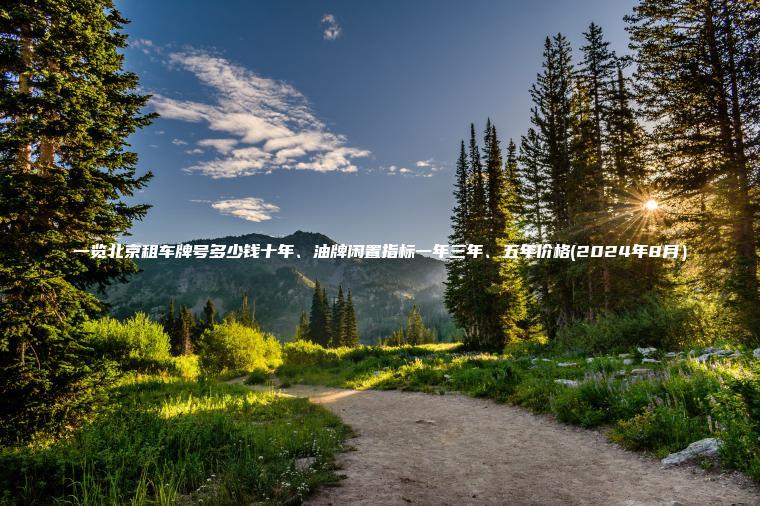 一览北京租车牌号多少钱十年、油牌闲置指标一年三年、五年价格(2024年8月）