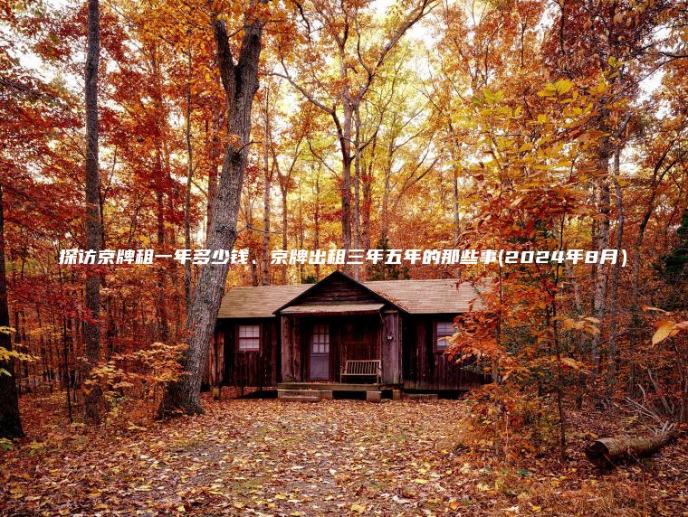 探访京牌租一年多少钱、京牌出租三年五年的那些事(2024年8月）