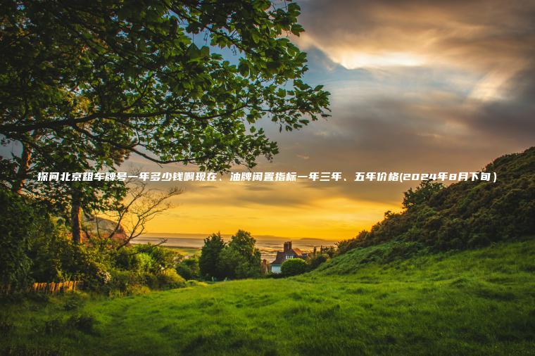 探问北京租车牌号一年多少钱啊现在、油牌闲置指标一年三年、五年价格(2024年8月下旬）