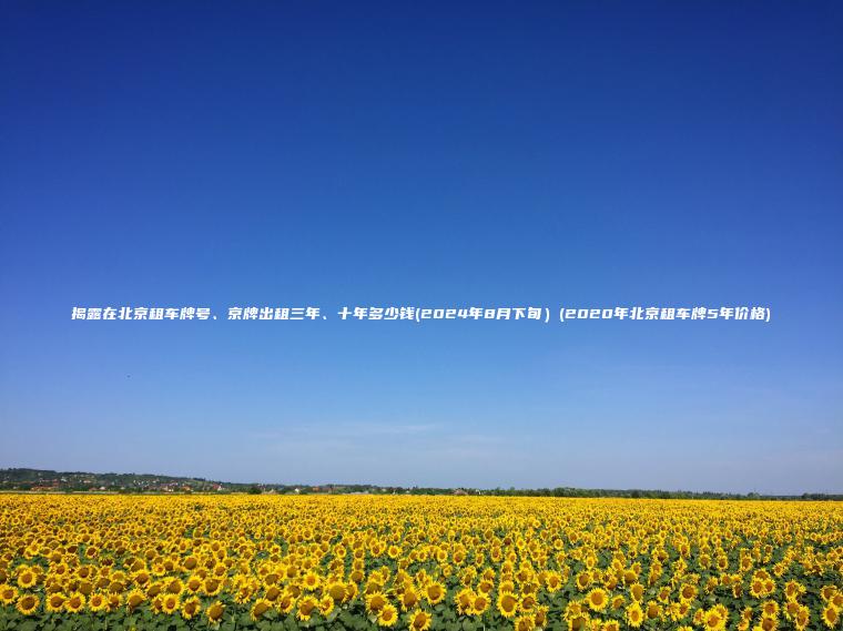 揭露在北京租车牌号、京牌出租三年、十年多少钱(2024年8月下旬）(2020年北京租车牌5年价格)