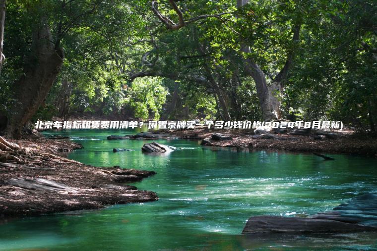 北京车指标租赁费用清单？闲置京牌买一个多少钱价格(2024年8月最新)
