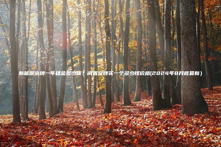 新能源京牌一年租金多少钱？闲置京牌买一个多少钱价格(2024年8月底最新）