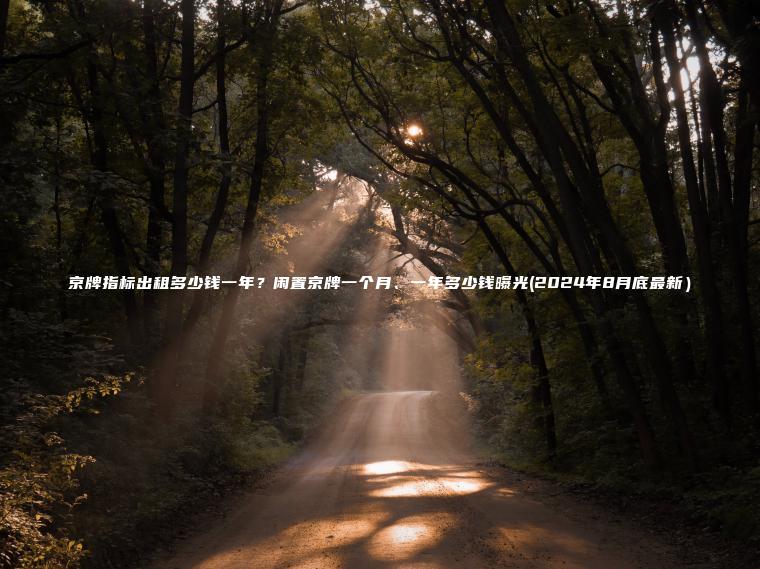 京牌指标出租多少钱一年？闲置京牌一个月、一年多少钱曝光(2024年8月底最新）