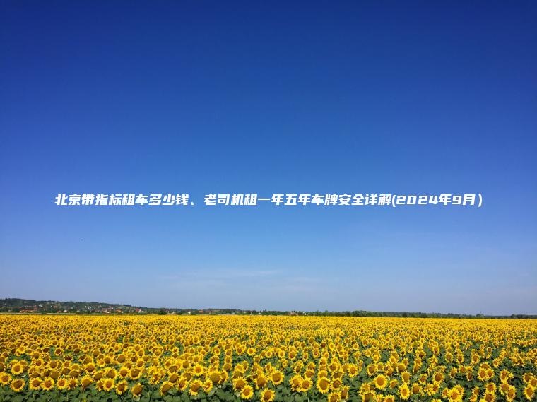 北京带指标租车多少钱、老司机租一年五年车牌安全详解(2024年9月）