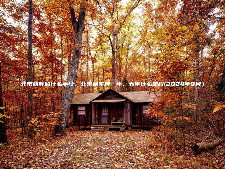 北京租牌照什么手续、北京租车牌一年、五年什么流程(2024年9月）
