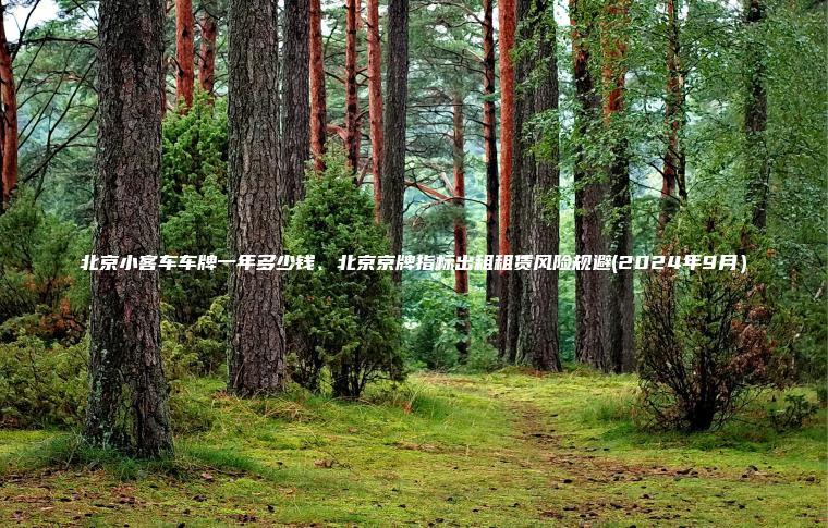 北京小客车车牌一年多少钱、北京京牌指标出租租赁风险规避(2024年9月）