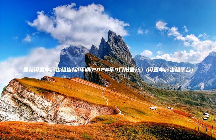 最新闲置车牌出租指标1年期(2024年9月份最新）(闲置车牌出租平台)