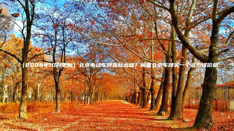 （2024年10月更新）北京电动车牌指标出租？闲置北京车牌买一个多少钱价格