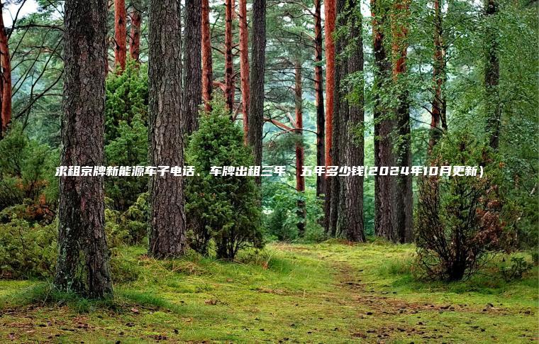 求租京牌新能源车子电话、车牌出租三年、五年多少钱(2024年10月更新）