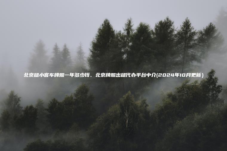 北京租小客车牌照一年多少钱、北京牌照出租代办平台中介(2024年10月更新）