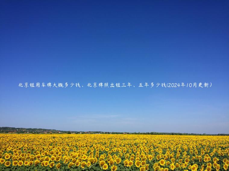 北京租用车牌大概多少钱、北京牌照出租三年、五年多少钱(2024年10月更新）