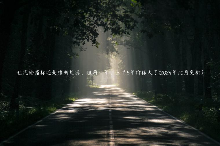 租汽油指标还是排新能源、租用一年、三年5年价格大了(2024年10月更新）