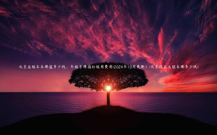 北京出租车车牌值多少钱、年租京牌指标租用费用(2024年10月更新）(北京现在出租车牌多少钱)