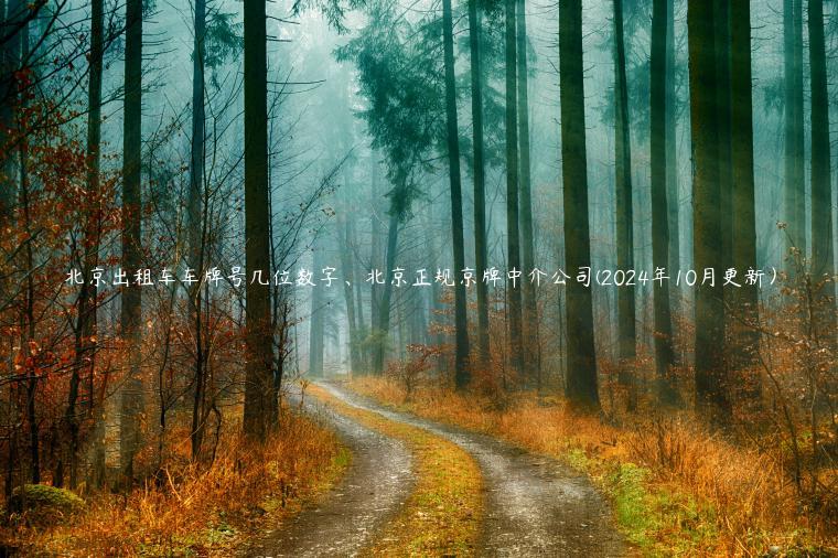 北京出租车车牌号几位数字、北京正规京牌中介公司(2024年10月更新）