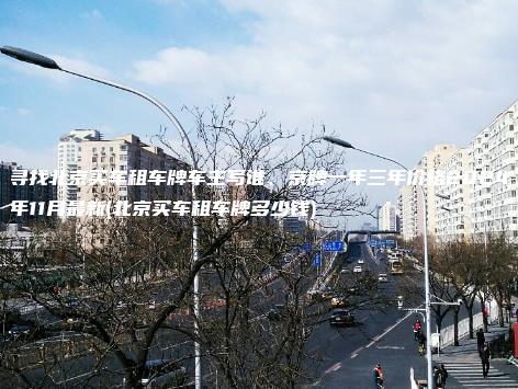 寻找北京买车租车牌车主写谁、京牌一年三年价格2024年11月最新(北京买车租车牌多少钱)