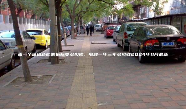 租一个深圳新能源指标要多少钱、电牌一年三年多少钱2024年11月最新