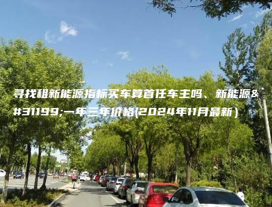 寻找租新能源指标买车算首任车主吗、新能源租一年三年价格(2024年11月最新）