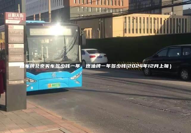 租车牌北京买车多少钱一年、燃油牌一年多少钱(2024年12月上旬）
