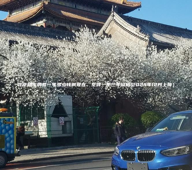 北京租车牌号一年多少钱啊现在、京牌一年三年价格(2024年12月上旬）