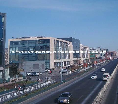车企2025年销量目标曝光:蔚来理想变得保守,小米最激进