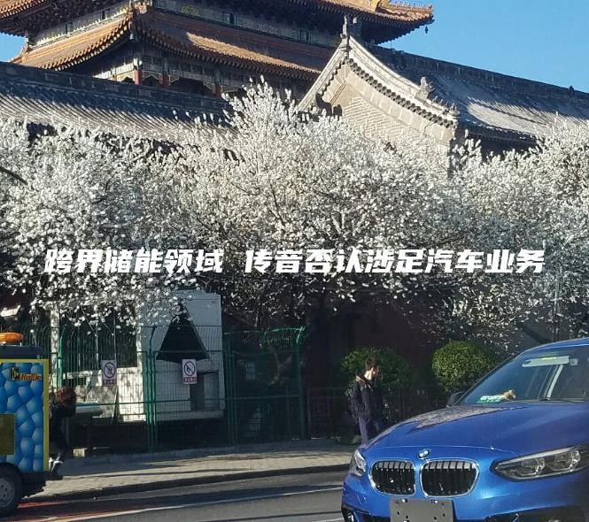 跨界储能领域 传音否认涉足汽车业务
