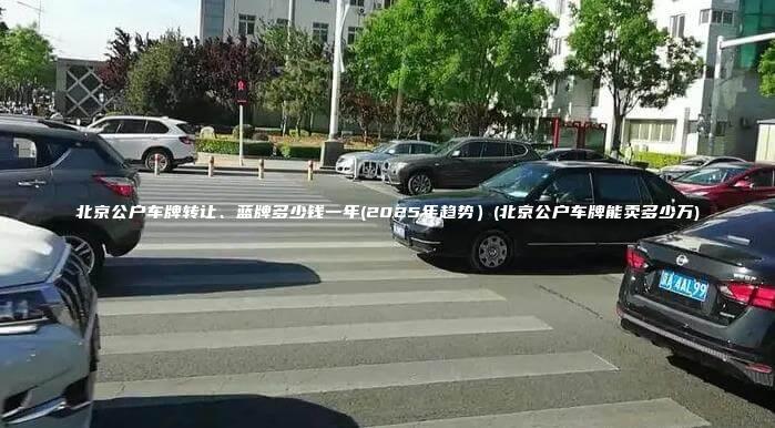 北京公户车牌转让、蓝牌多少钱一年(2025年趋势）(北京公户车牌能卖多少万)
