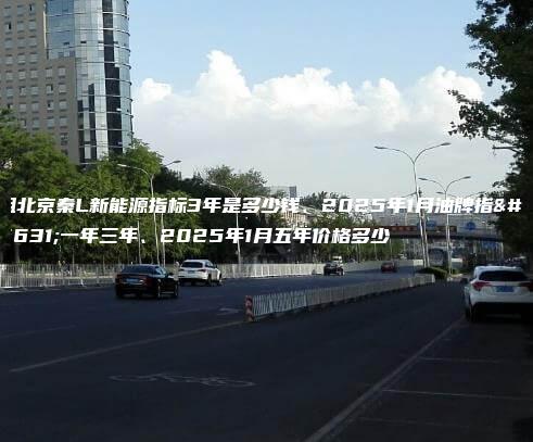 租北京秦L新能源指标3年是多少钱、2025年1月油牌指标一年三年、2025年1月五年价格多少