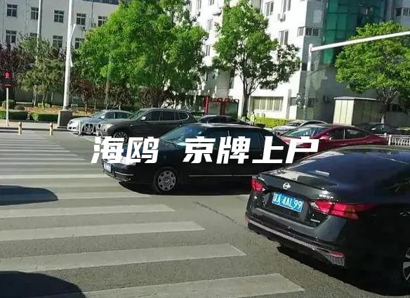 海鸥 京牌上户