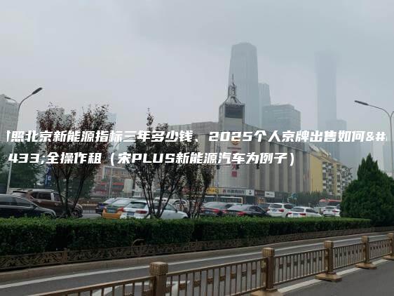 对照北京新能源指标三年多少钱、2025个人京牌出售如何安全操作租（宋PLUS新能源汽车为例子）
