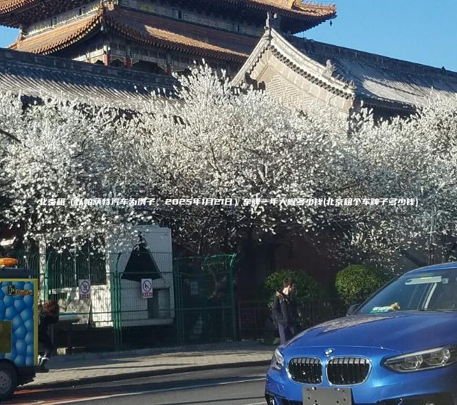 北京租（以帕萨特汽车为例子，2025年1月21日）车牌一年大概多少钱(北京租个车牌子多少钱)