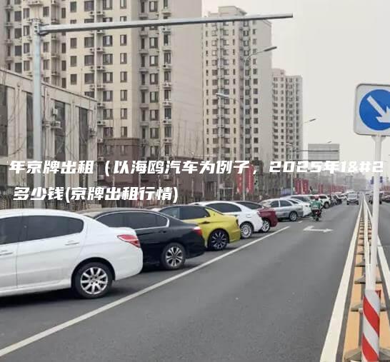 2025年京牌出租（以海鸥汽车为例子，2025年1月最新）多少钱(京牌出租行情)