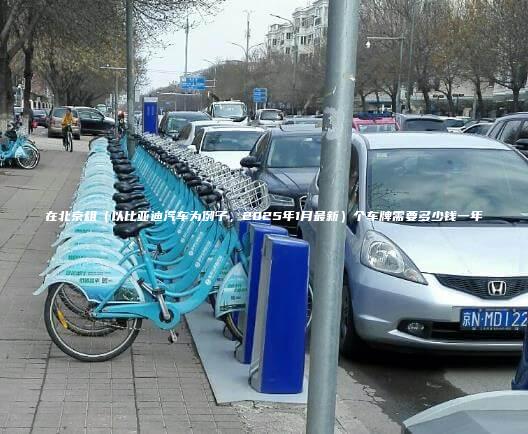 在北京租（以比亚迪汽车为例子，2025年1月最新）个车牌需要多少钱一年