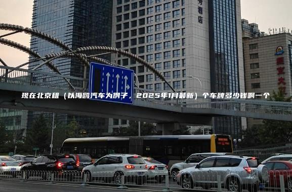 现在北京租（以海鸥汽车为例子，2025年1月最新）个车牌多少钱啊一个