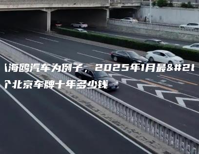 租（以海鸥汽车为例子，2025年1月最新）一个北京车牌十年多少钱