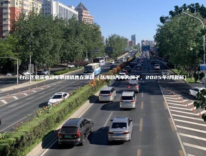 白云区京溪电动车带牌销售在哪租（以海鸥汽车为例子，2025年1月最新）