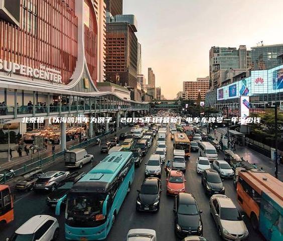 北京租（以海鸥汽车为例子，2025年1月最新）电车车牌号一年多少钱