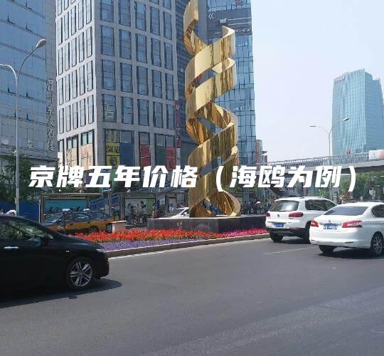 京牌五年价格（海鸥为例）