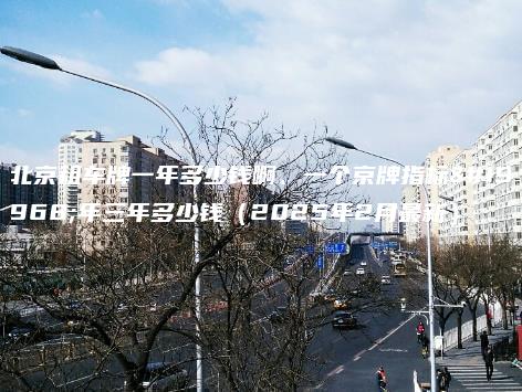 北京租车牌一年多少钱啊、一个京牌指标一年三年多少钱（2025年2月最新）