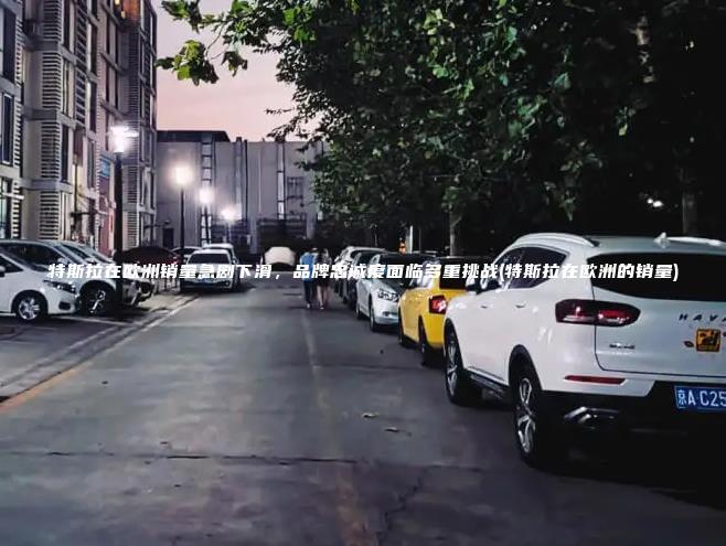 特斯拉在欧洲销量急剧下滑，品牌忠诚度面临多重挑战(特斯拉在欧洲的销量)