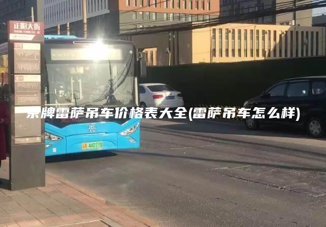 京牌雷萨吊车价格表大全(雷萨吊车怎么样)