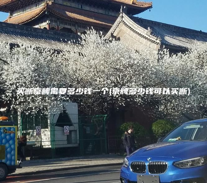 买断京牌需要多少钱一个(京牌多少钱可以买断)